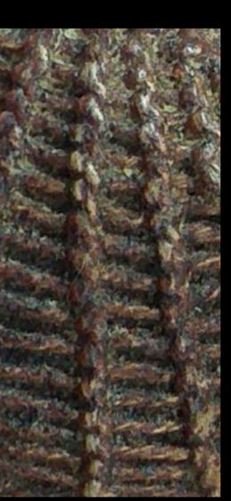 เบี้ยแก้ หลวงปู่บุญ วัดกลางบางแก้ว ยุคกลาง ถึง ปลาย รูปที่ 5