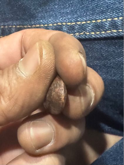 พระลีลาเม็ดขนุน รูปที่ 5