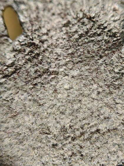 พระนาคปรก รูปที่ 7