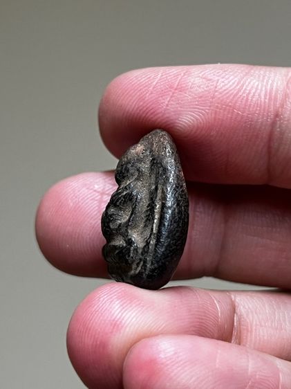 หลวงพ่อกวย วัดโฆสิตารามพระสังกระจายเนื้อดิน รูปที่ 3