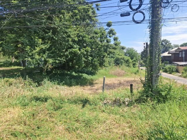 ไม่ใช่ ขายที่ดินเปล่า  ตรงข้ามโรงเรียนกีฬา ขอนแก่น รูปที่ 3