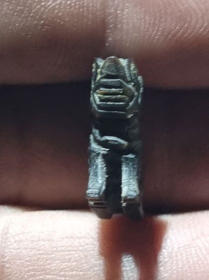 สิงห์ดำ รูปที่ 4