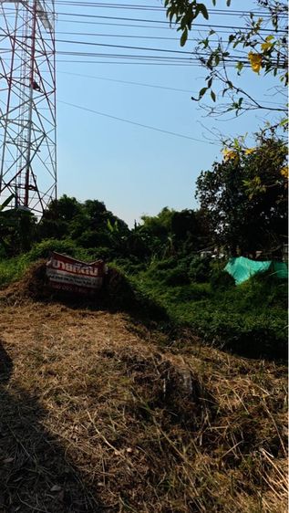 ใช่ ขายที่ดิน200วา หนองจอก กทม รูปที่ 3