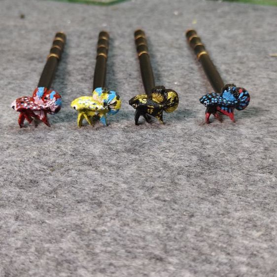 ไม่ล่อปลากัด รูปที่ 5