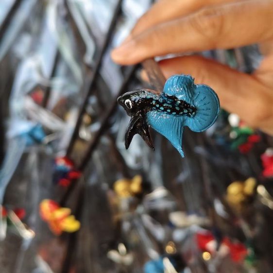 ไม้ล่อปลากัด รูปที่ 10