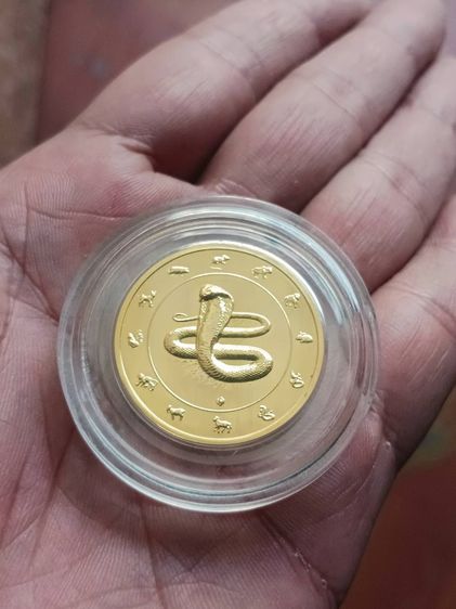 เหรียญ ปฎิทิน ปีมะเส็ง 2556