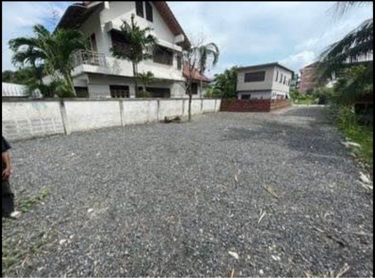 ไม่ใช่ ขายด่วนที่ดินทำเลทองเขตคลองสามวาถมแล้ว 81 ตรว. รูปที่ 3