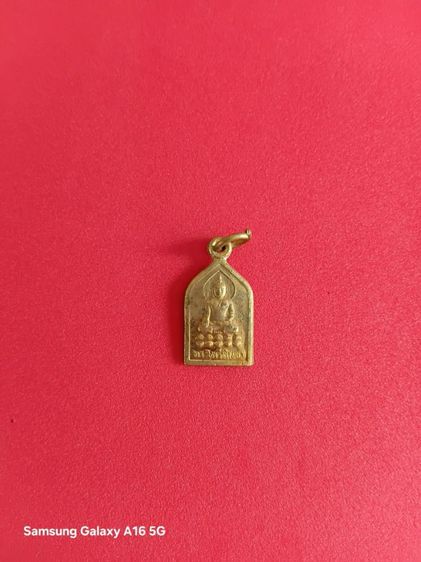 เหรียญพระไพรีพินาศ 100 ปี ญสส. ปี 2556 