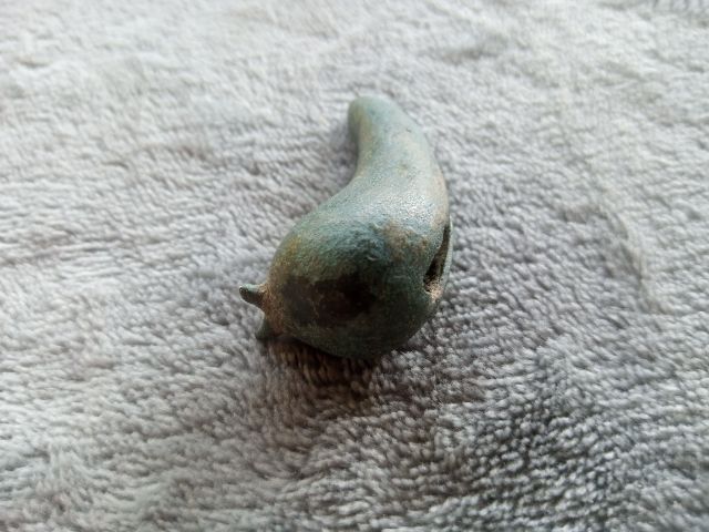 กระพรวนเม็ดพริก รูปที่ 7