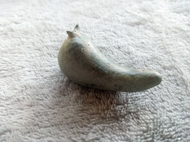 กระพรวนเม็ดพริก รูปที่ 6