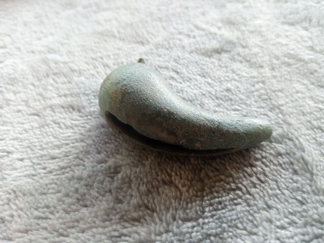 กระพรวนเม็ดพริก รูปที่ 5