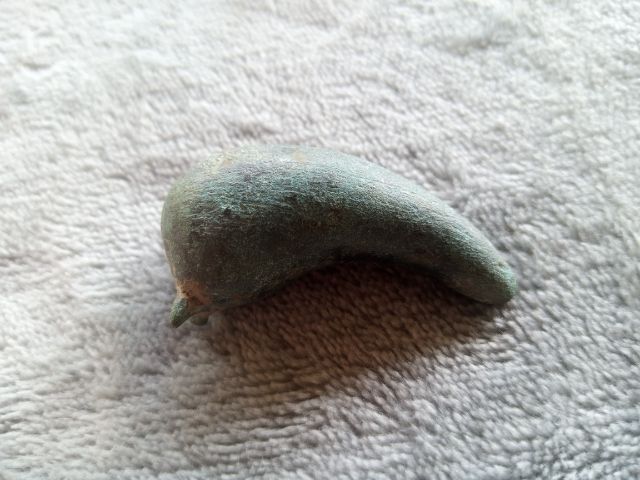 กระพรวนเม็ดพริก รูปที่ 2