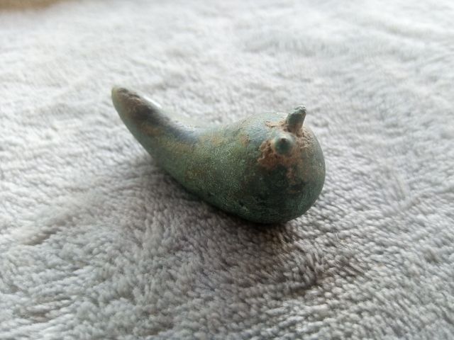 กระพรวนเม็ดพริก รูปที่ 9