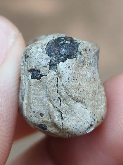 พระคงลำพูน รูปที่ 8