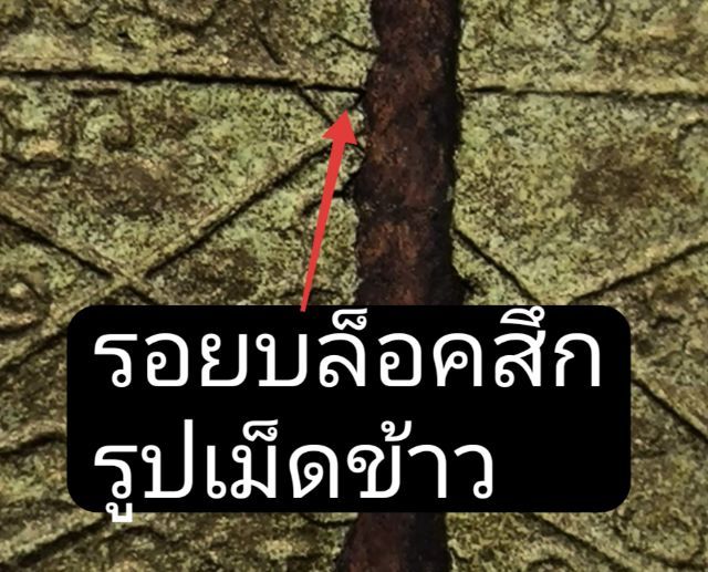 ขุนแผนพรายกุมารพิมพ์ใหญ่นิยมB-3ปี15 หลวงปู่ทิม วัดละหารไร่ จ.ระยอง รูปที่ 6