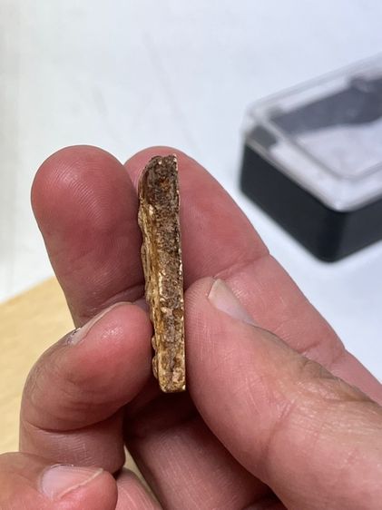 สมเด็จบางขุนพรหมพิมพ์ใหญ่ รูปที่ 3