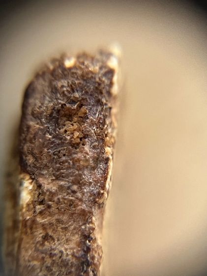 สมเด็จบางขุนพรหมพิมพ์ใหญ่ รูปที่ 13