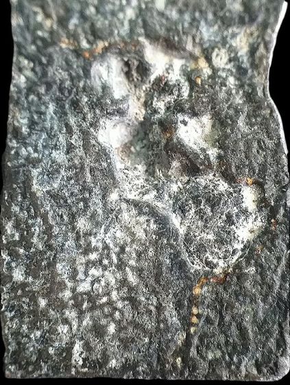 พระนาคปรก กรุวัดปืน. รูปที่ 10