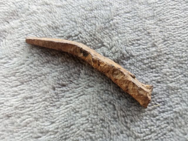 ตะปูสังฆวานร รูปที่ 7