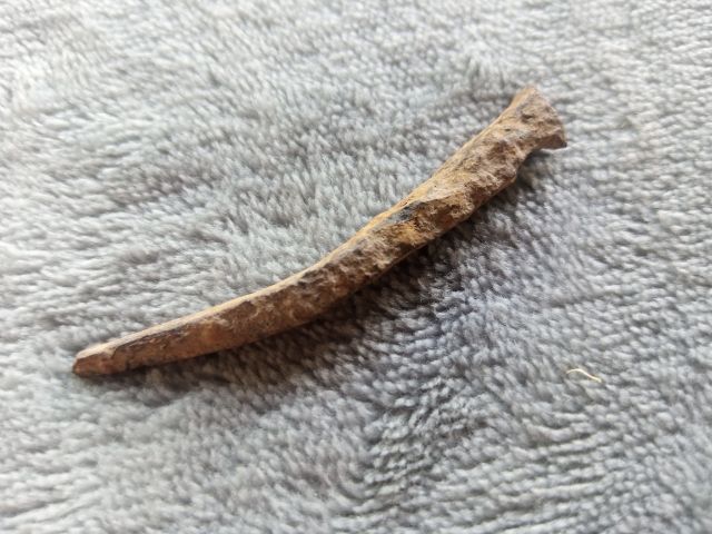 ตะปูสังฆวานร รูปที่ 4