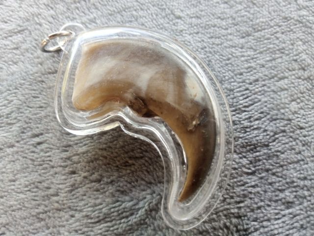 เล็บ (พร้อมเลี่ยม) รูปที่ 3