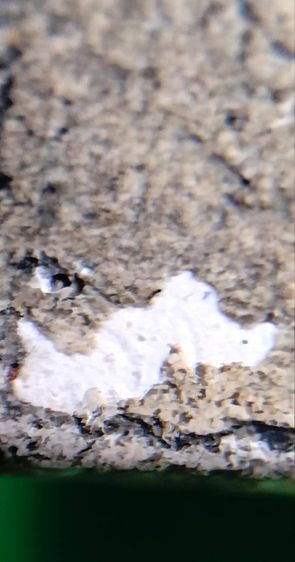 พระสมเด็จวัดระฆัง บางขุนพรหม เกศไชโย หลวงปู่ภู หลวงปู่นาค รูปที่ 10