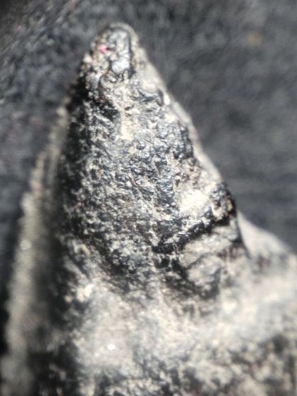 นางพญาพิษณุโลกเนื้อดินเนื้อดำครับ รูปที่ 6