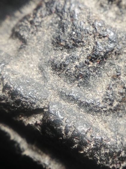 นางพญาพิษณุโลกเนื้อดินเนื้อดำครับ รูปที่ 10