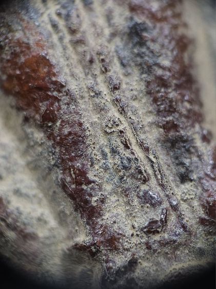 ⛳️พระร่วงหลังรางปืนสนิมแดง กรุวัดพระศรีรัตนมหาธาตุ(เชลียง) จังหวัดสุโขทัย รูปที่ 13