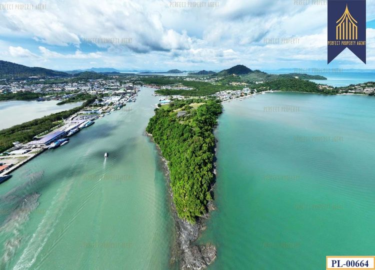 ขายที่ดิน ติดทะเล 51 ไร่ ภูเก็ต เกาะสิเหร่ ใกล้ท่าเรือรัษฎา ไปเกาะพีพีและอ่าวต้นไทร รูปที่ 3
