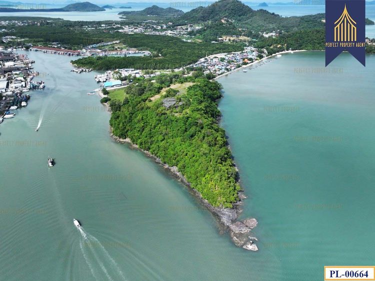 ขายที่ดิน ติดทะเล 51 ไร่ ภูเก็ต เกาะสิเหร่ ใกล้ท่าเรือรัษฎา ไปเกาะพีพีและอ่าวต้นไทร รูปที่ 4