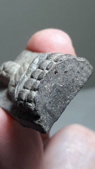 พระหลวงปู่ทวด รูปที่ 7