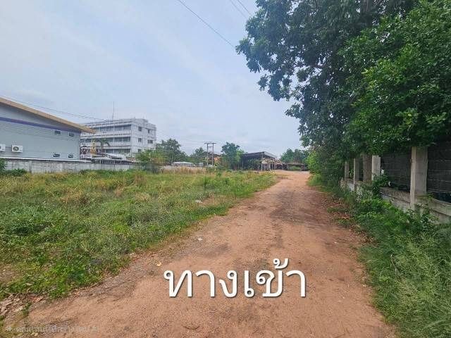 ขายบ้านพร้อมที่ดิน ติดการไฟฟ้าส่วนภูมิภาคจังหวัดชัยภูมิ รูปที่ 3