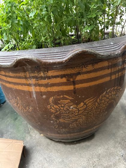 กระถางปลูกต้นไม้ กระถางมังกร