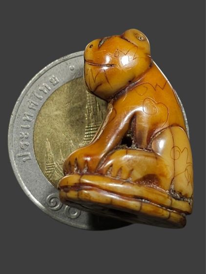 ⛳️เสือหลวงพ่อปาน วัดบางเหี้ย รูปที่ 7