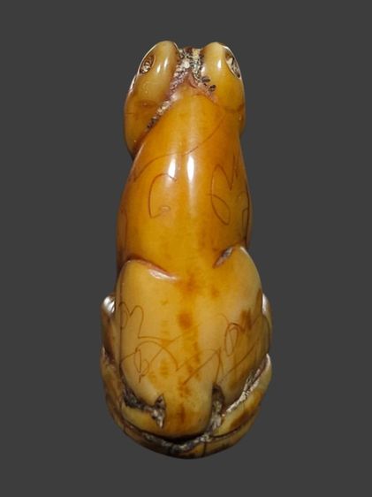 ⛳️เสือหลวงพ่อปาน วัดบางเหี้ย รูปที่ 5