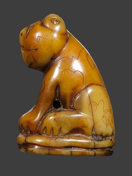 ⛳️เสือหลวงพ่อปาน วัดบางเหี้ย รูปที่ 3