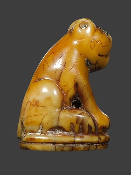 ⛳️เสือหลวงพ่อปาน วัดบางเหี้ย รูปที่ 4