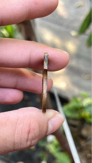 หลวงปู่หมุน รูปที่ 3