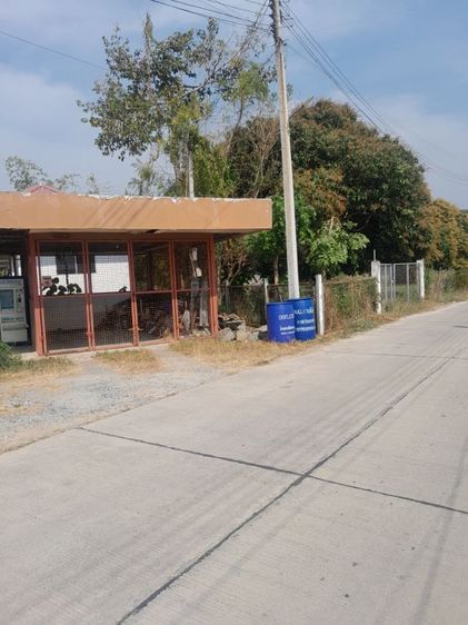 ไม่ใช่ ที่ดินสวยถมแน่น รูปที่ 4