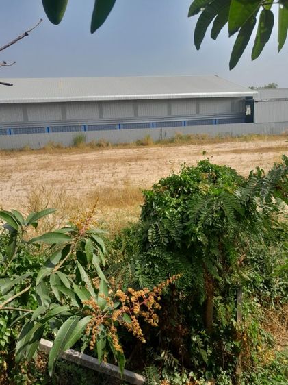 ไม่ใช่ ที่ดินสวยถมแน่น รูปที่ 2