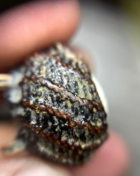 เปิดเบียร์แก้ไม่ทราบที่ปรอทวิ่ง(มีสินค้าหลายรายการกดเข้ามาดูในโปรไฟล์ได้เลยครับ) รูปที่ 4