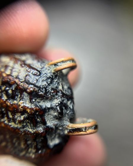 เปิดเบียร์แก้ไม่ทราบที่ปรอทวิ่ง(มีสินค้าหลายรายการกดเข้ามาดูในโปรไฟล์ได้เลยครับ) รูปที่ 3