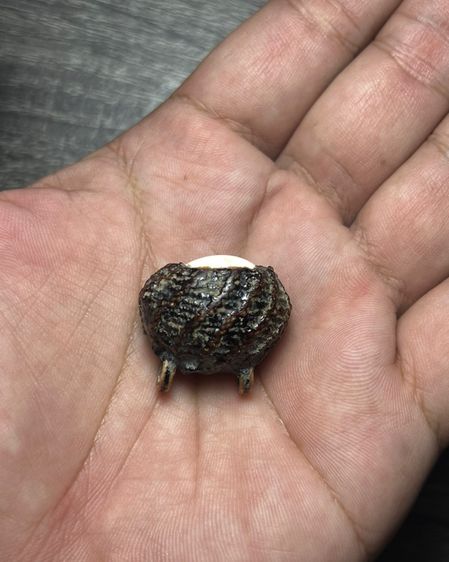 เปิดเบียร์แก้ไม่ทราบที่ปรอทวิ่ง(มีสินค้าหลายรายการกดเข้ามาดูในโปรไฟล์ได้เลยครับ) รูปที่ 7