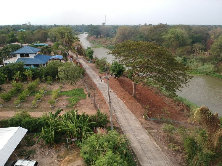 ขายที่ดิน 5 ไร่ ติดแม่น้ำน้อย จ. อ่างทอง ราคา 600,000 บาทต่อไร่ ติดแม่น้ำน้อย สร้างศาลาริมน้ำได้ เหมาะสำหรับพักผ่อนยามเกษียณ อากาศดี วิวสวย 