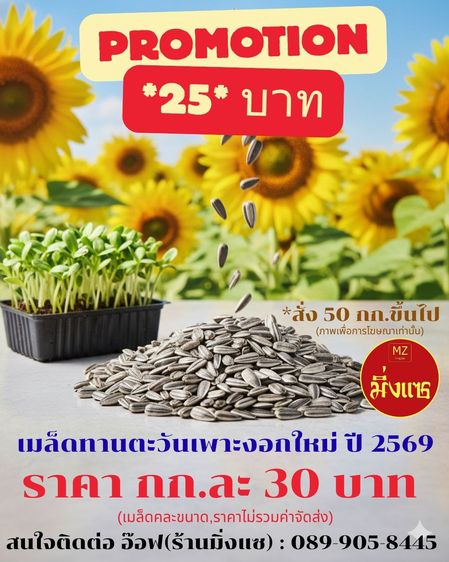 เมล็ดทานตะวันคละขนาด ปี 2569 เพาะต้นอ่อนและอาหารสำหรับเลี้ยงนก, เมล็ดกระเจี๊ยบแดง เพาะต้นอ่อนและปลูกเอาดอก ถั่วเขียว และเมล็ดงาเกษตร งาดำ