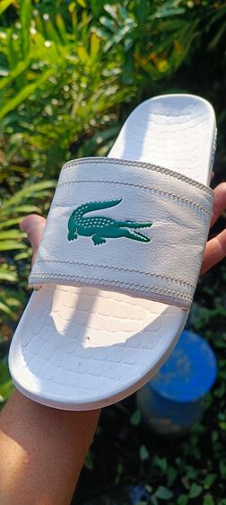 รองเท้าแตะ LACOSTE มี 3 คู่ รูปที่ 9