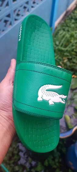 รองเท้าแตะ LACOSTE มี 3 คู่ รูปที่ 3