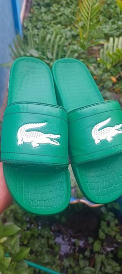 รองเท้าแตะ LACOSTE มี 3 คู่ รูปที่ 2