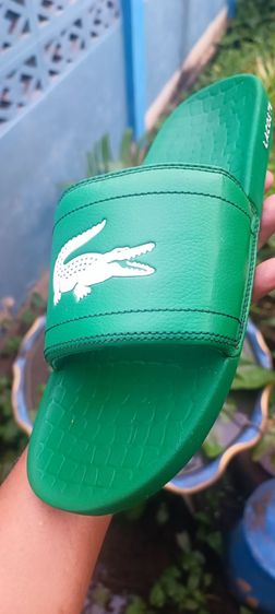 รองเท้าแตะ LACOSTE มี 3 คู่ รูปที่ 4